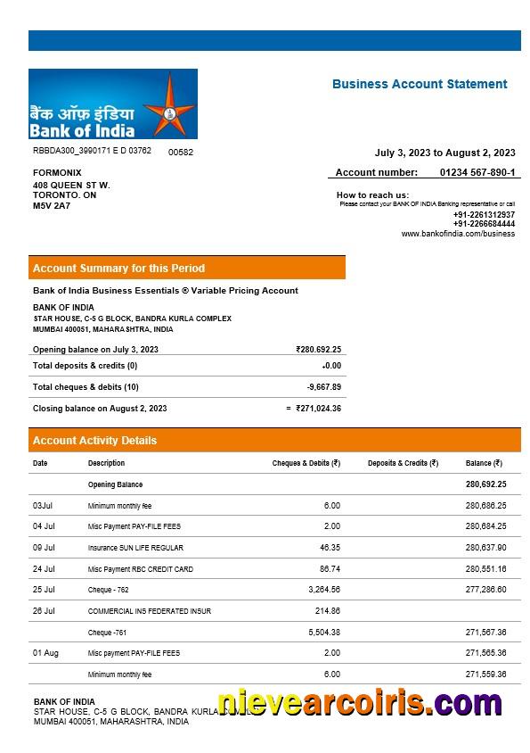 Bank of India company checking account statement